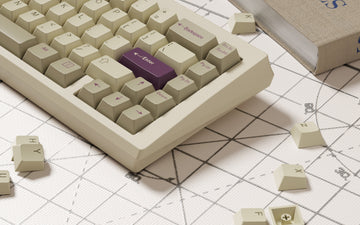 【GB Sale】WIND SIN65